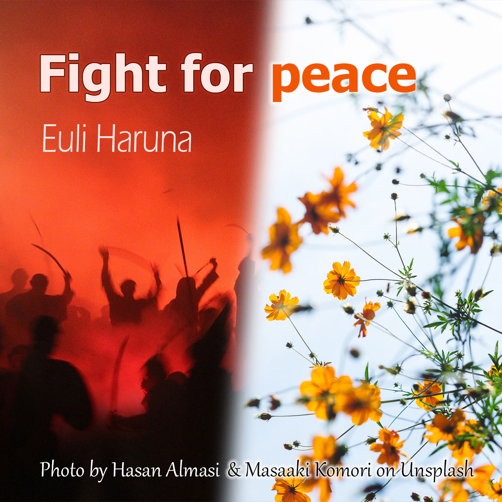 Fight for peace